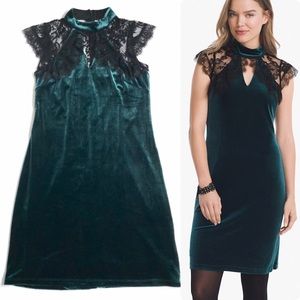 WHBM Velvet Formal Dress with Lace Detail, Green